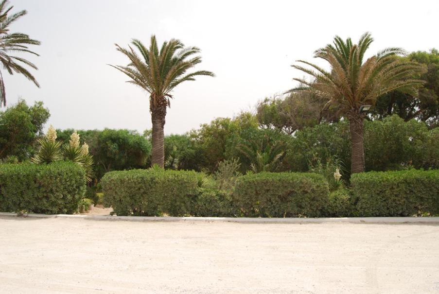 Hotel El Andalous Soliman Exterior photo