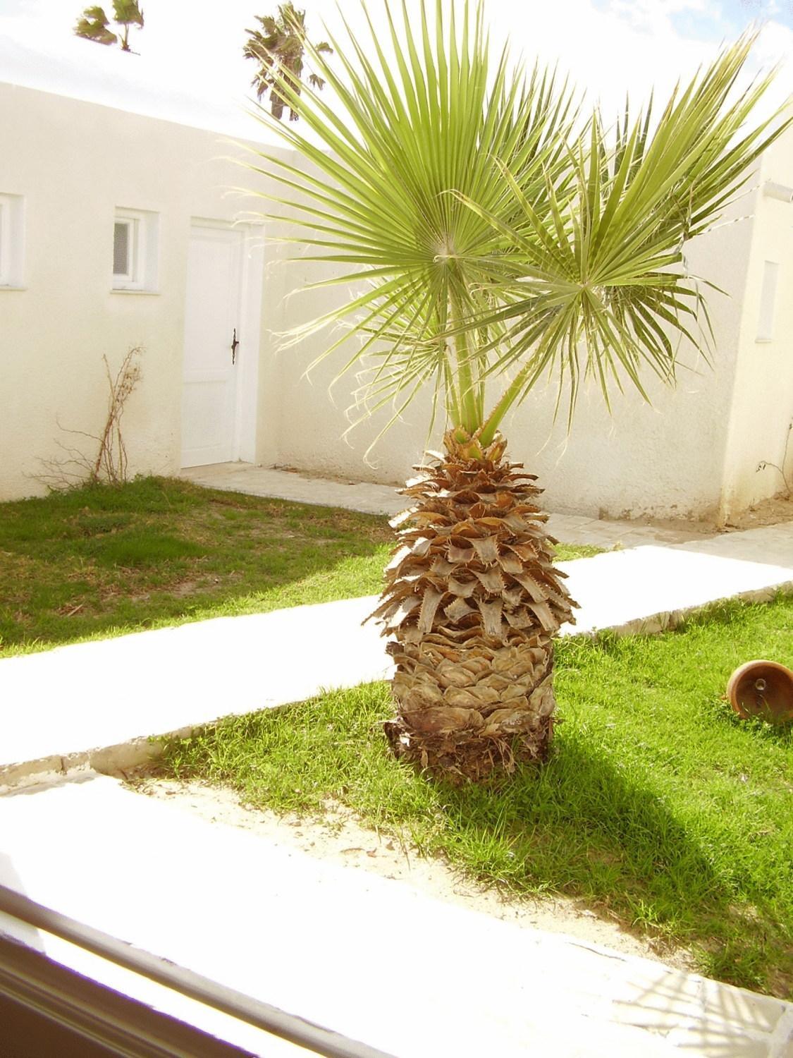 Hotel El Andalous Soliman Exterior photo